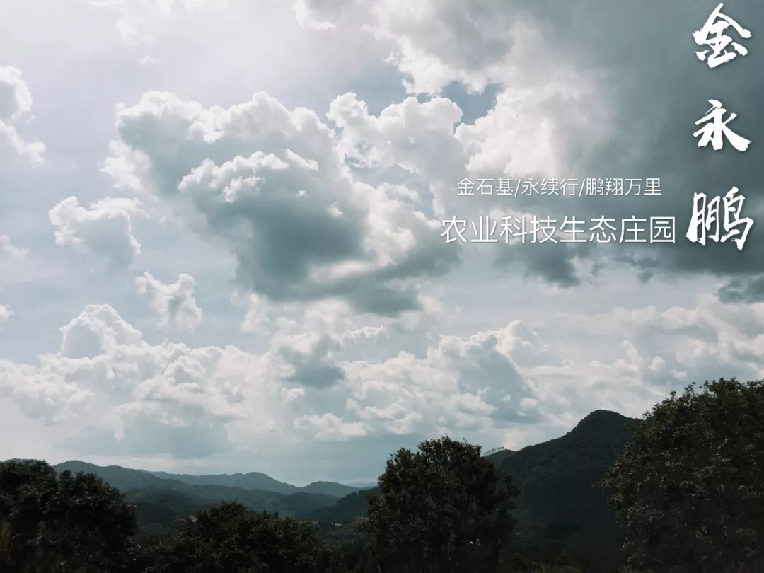 金永鹏 康养旅游—回归自然的生活方式
